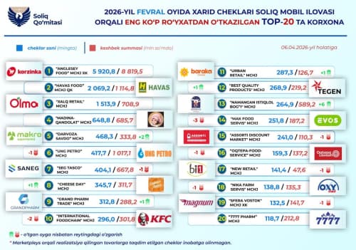 Чеки каких организаций чаще всего регистрировали в мобильном приложении Soliq в феврале?