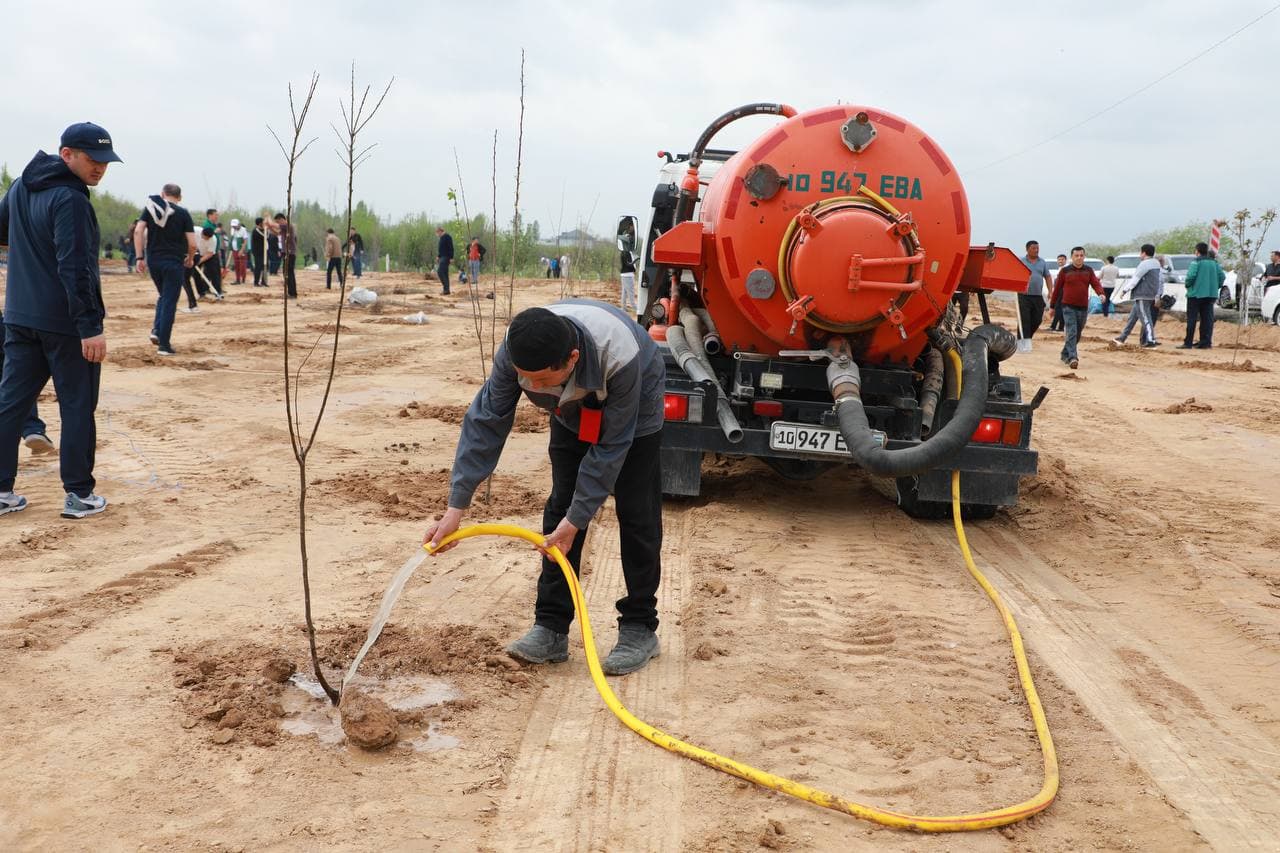 "Yashil makon" umummilliy loyihasining bahorgi mavsumi doirasida Soliq qo‘mitasi xodimlari tomonidan daraxt ekish ishlari amalga oshirildi.