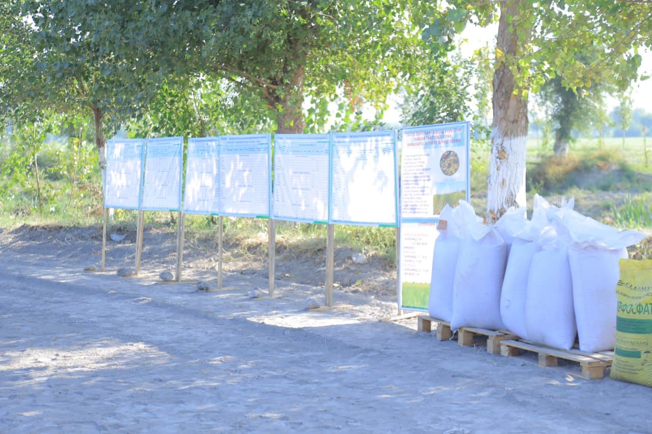 Самарали меҳнат — барқарор ҳосил гарови