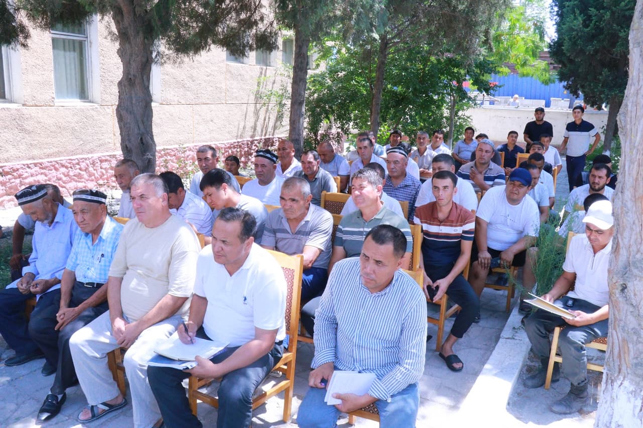 2025 yil hosili uchun ekilgan g‘o‘za maydonlarida agrotexnik tadbirlarini amalga oshirish