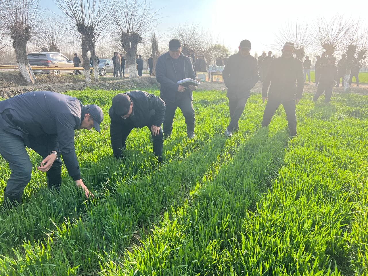 Данғара ММТП ҳудудида жойлашган “Инобатхон зиёси” фермер хўжалигида ПҚ–465-сон қарор ижросини таъминлаш мақсадида амалий семинар ташкил этилди.