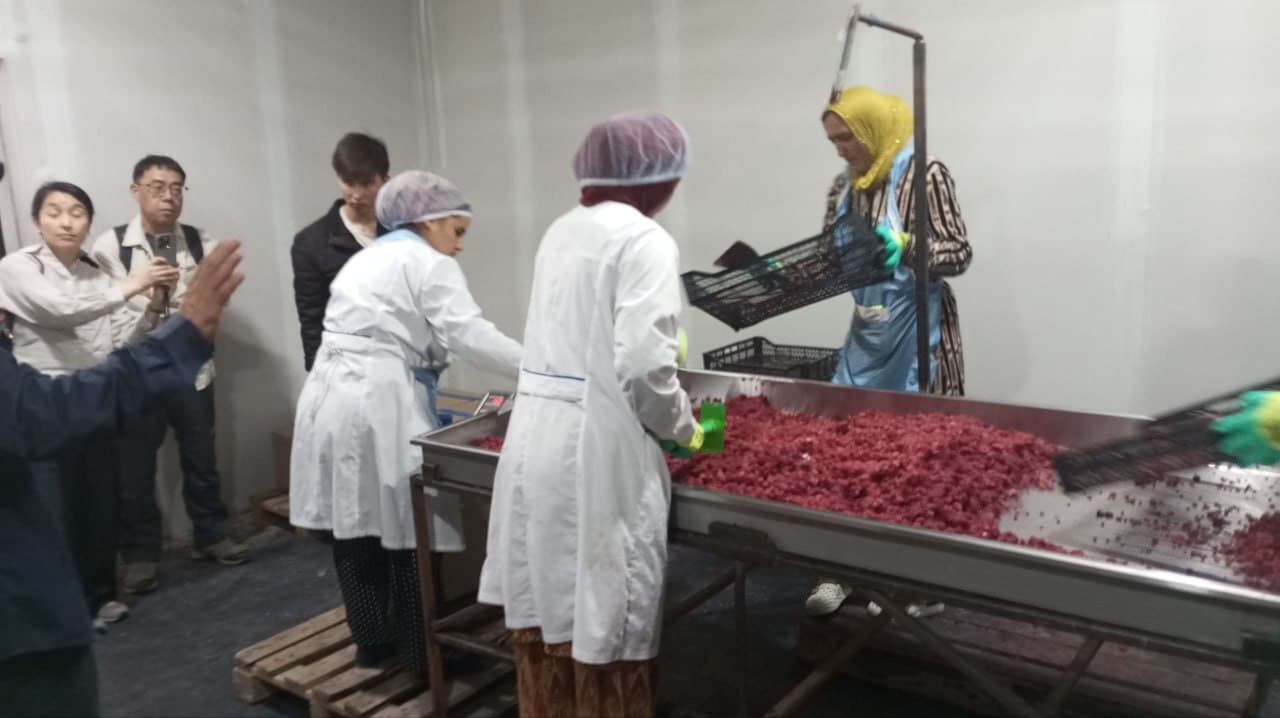 JICA Delegation Highly Praised the Activities of “Vodil Raspberry Market” LLC