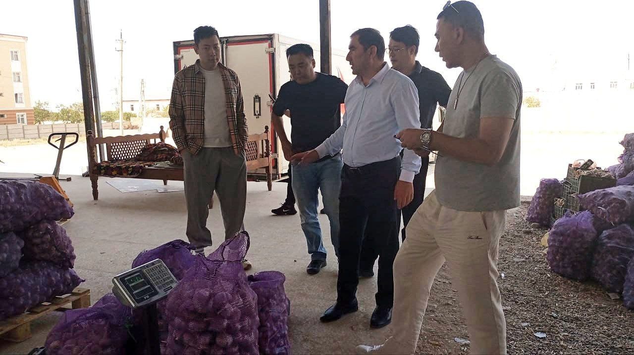 Новое соглашение с китайскими инвесторами: в Ферганском районе будет налажен экспорт чеснока