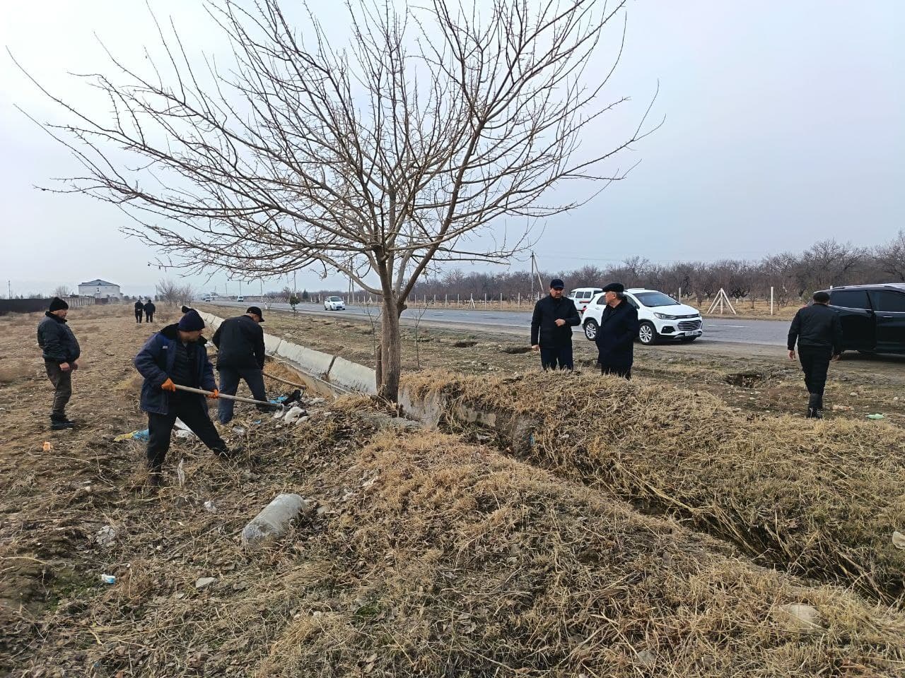 Practical efforts to improve landscaping and infrastructure are gaining momentum