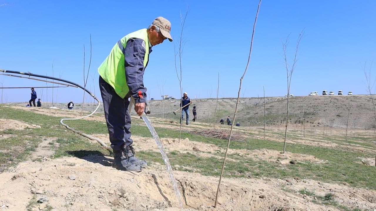 В Ферганском районе последовательно реализуются проекты «Яшил макон» и «Яшил белбог»