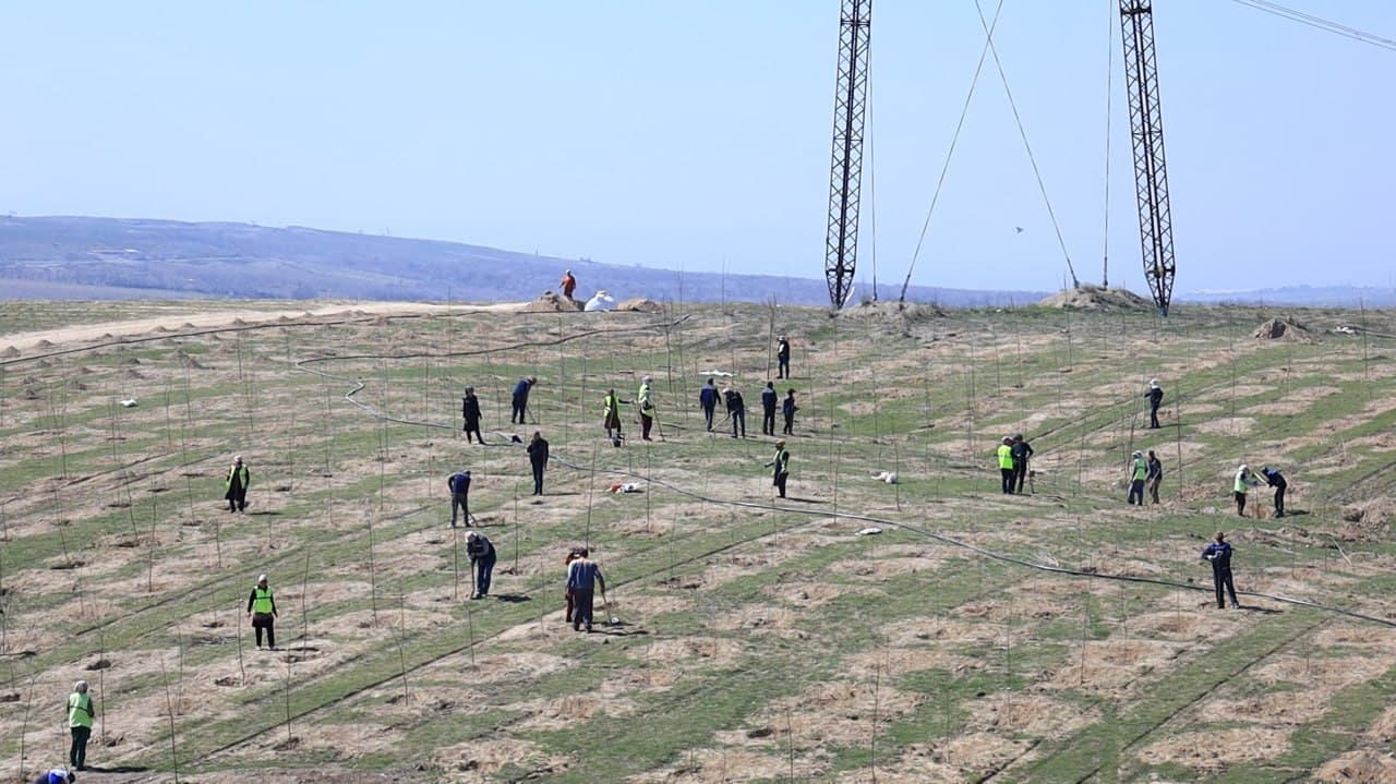 В Ферганском районе последовательно реализуются проекты «Яшил макон» и «Яшил белбог»