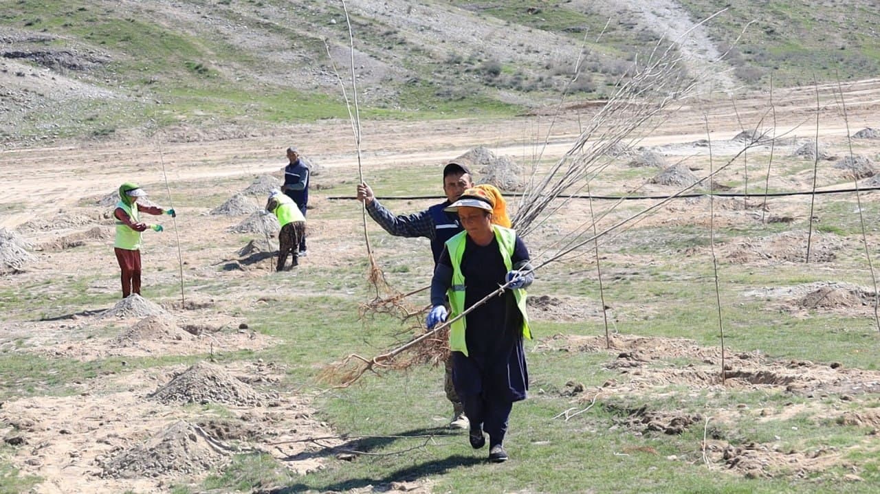 В Ферганском районе последовательно реализуются проекты «Яшил макон» и «Яшил белбог»