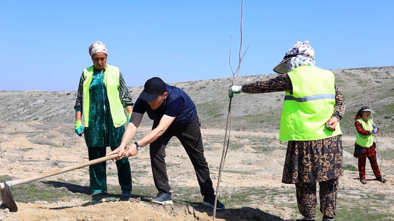 В Ферганском районе последовательно реализуются проекты «Яшил макон» и «Яшил белбог»