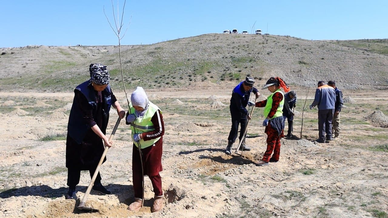 В Ферганском районе последовательно реализуются проекты «Яшил макон» и «Яшил белбог»