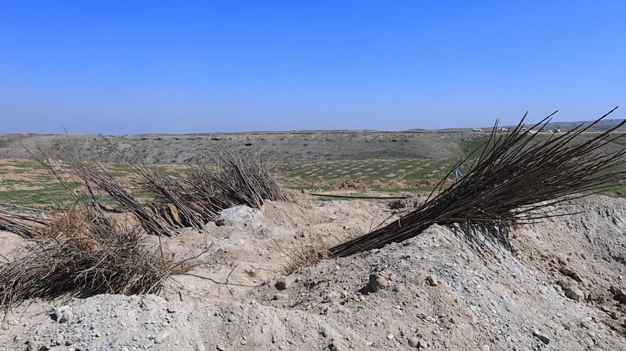 В Ферганском районе последовательно реализуются проекты «Яшил макон» и «Яшил белбог»