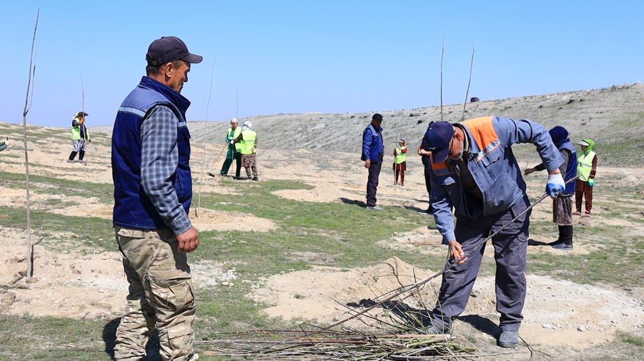 В Ферганском районе последовательно реализуются проекты «Яшил макон» и «Яшил белбог»