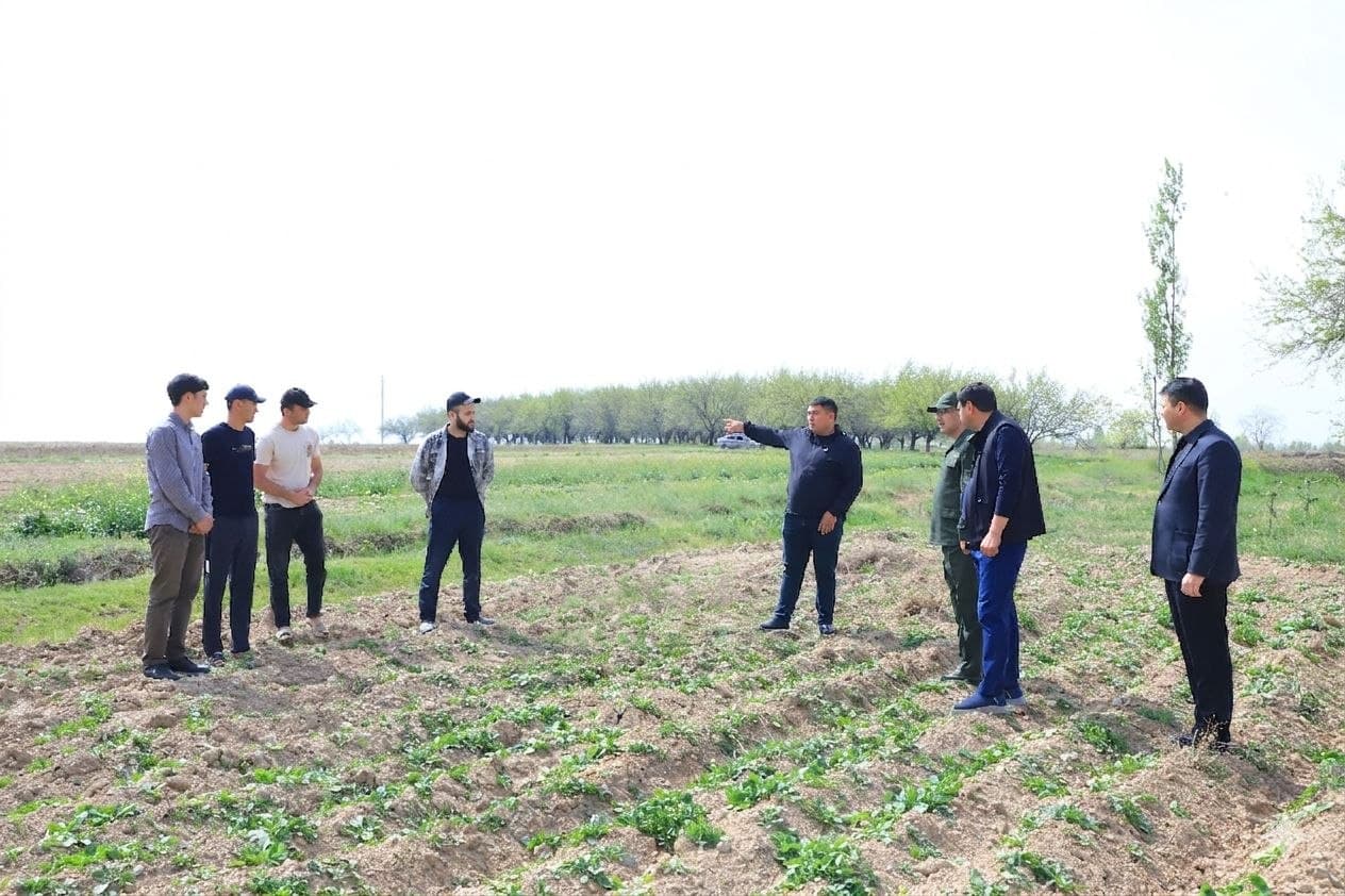 Youth issues studied within the framework of Youth Day