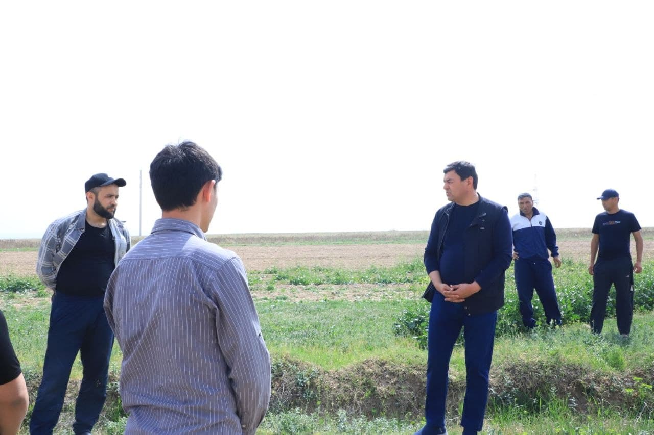 Youth issues studied within the framework of Youth Day