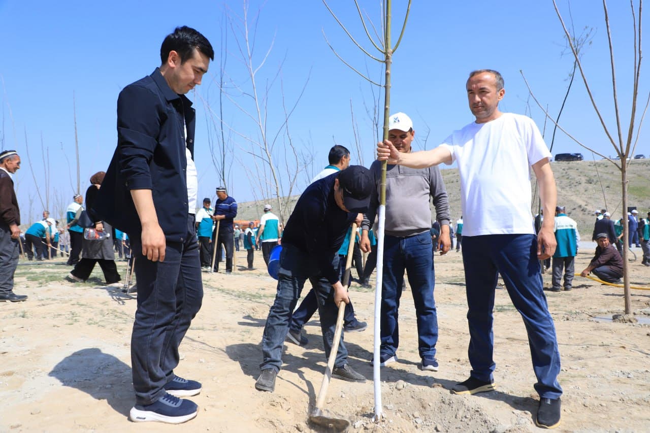 Large-scale tree planting activities have begun in Fergana district within the “Yashil Makon” project