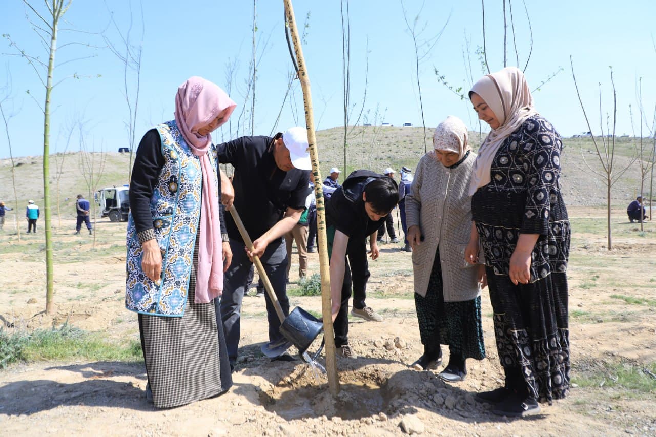 Large-scale tree planting activities have begun in Fergana district within the “Yashil Makon” project