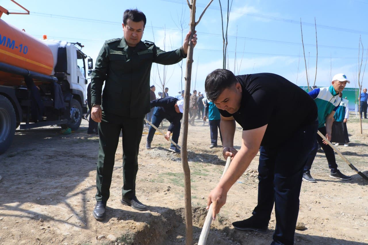 Large-scale tree planting activities have begun in Fergana district within the “Yashil Makon” project
