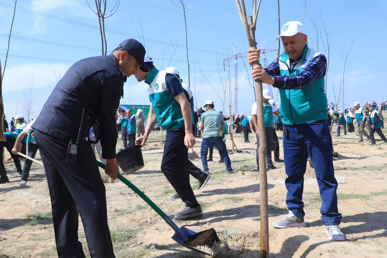 Large-scale tree planting activities have begun in Fergana district within the “Yashil Makon” project