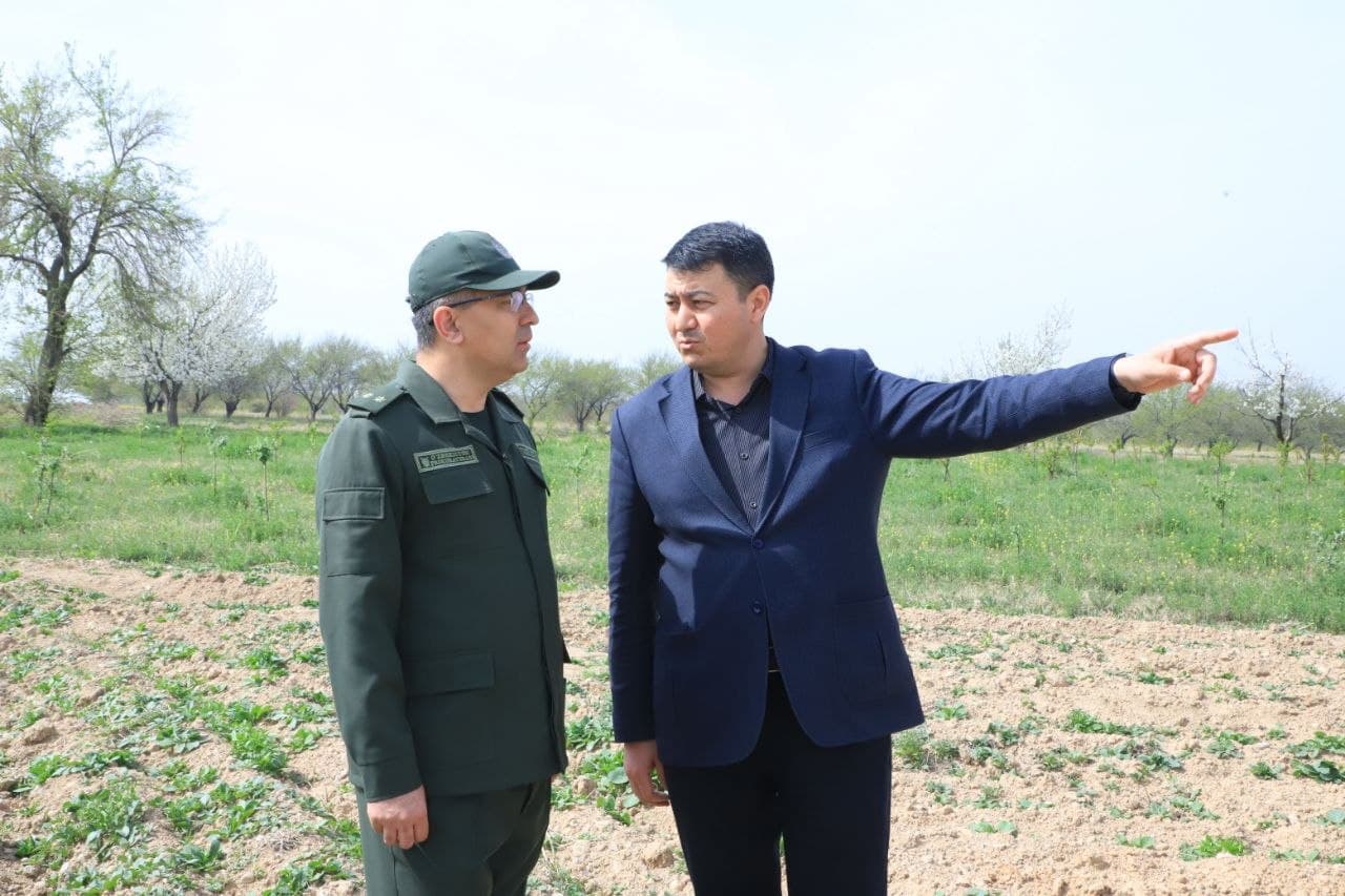 Youth issues studied within the framework of Youth Day