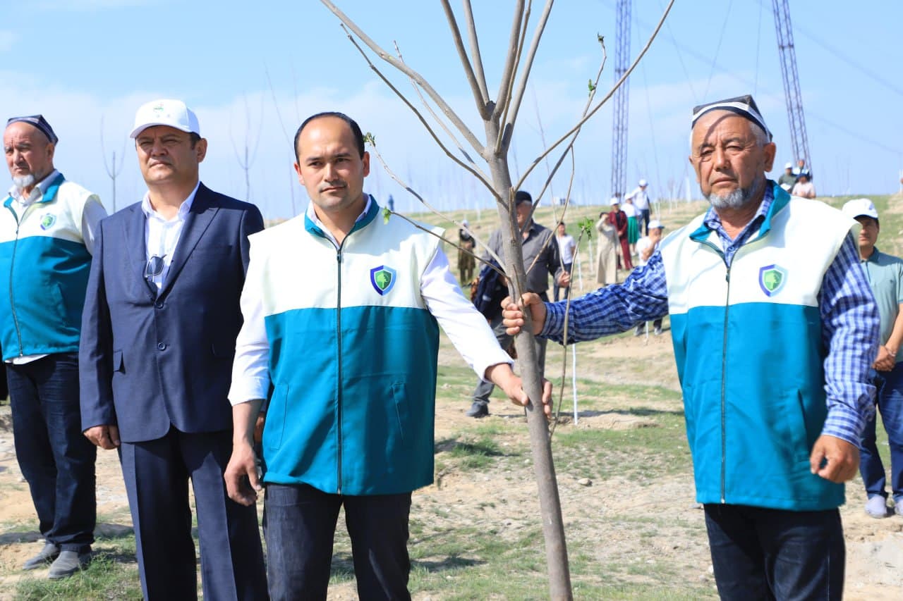 Large-scale tree planting activities have begun in Fergana district within the “Yashil Makon” project