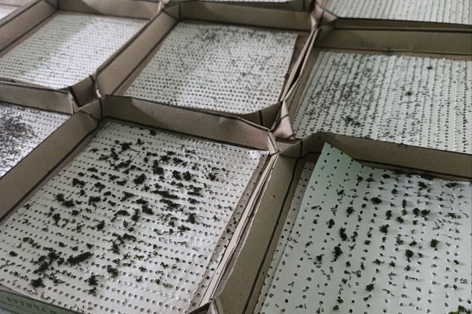 Silk farming season launched in Fergana district