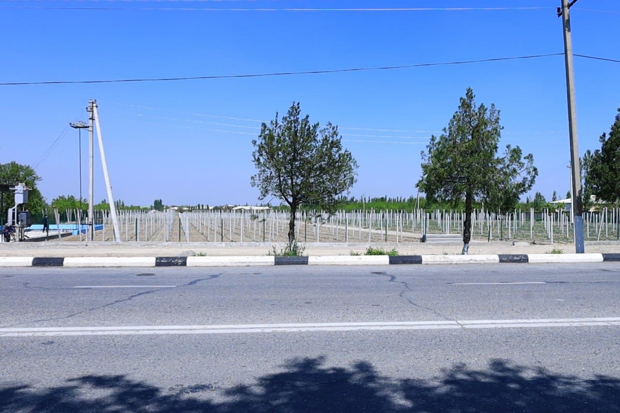 Press tour organized in Fergana district to promote tourism potential