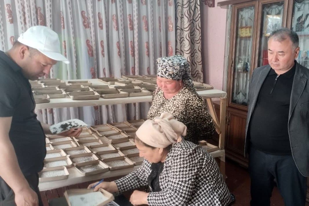 Silk farming season launched in Fergana district