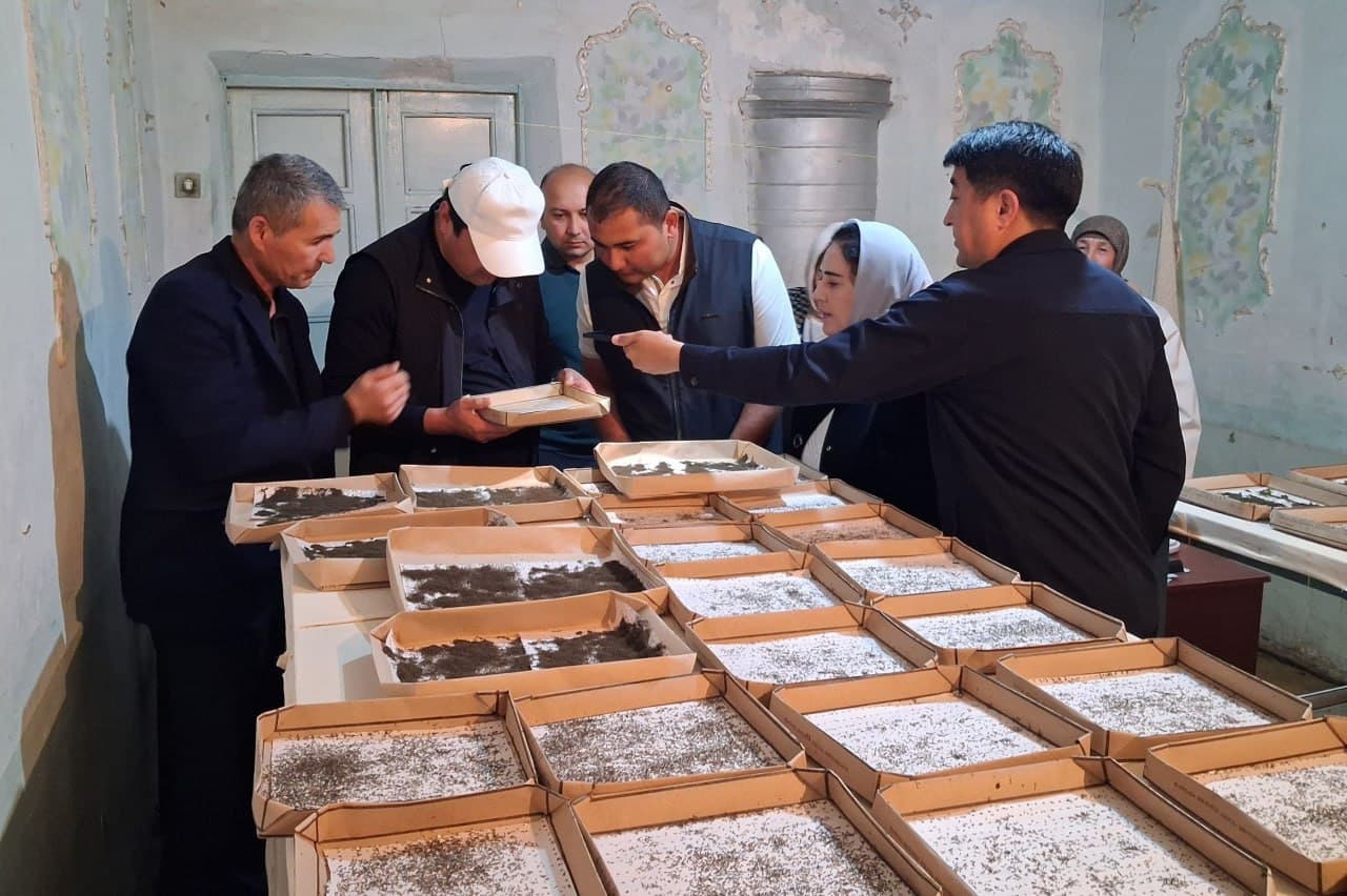 Silk farming season launched in Fergana district