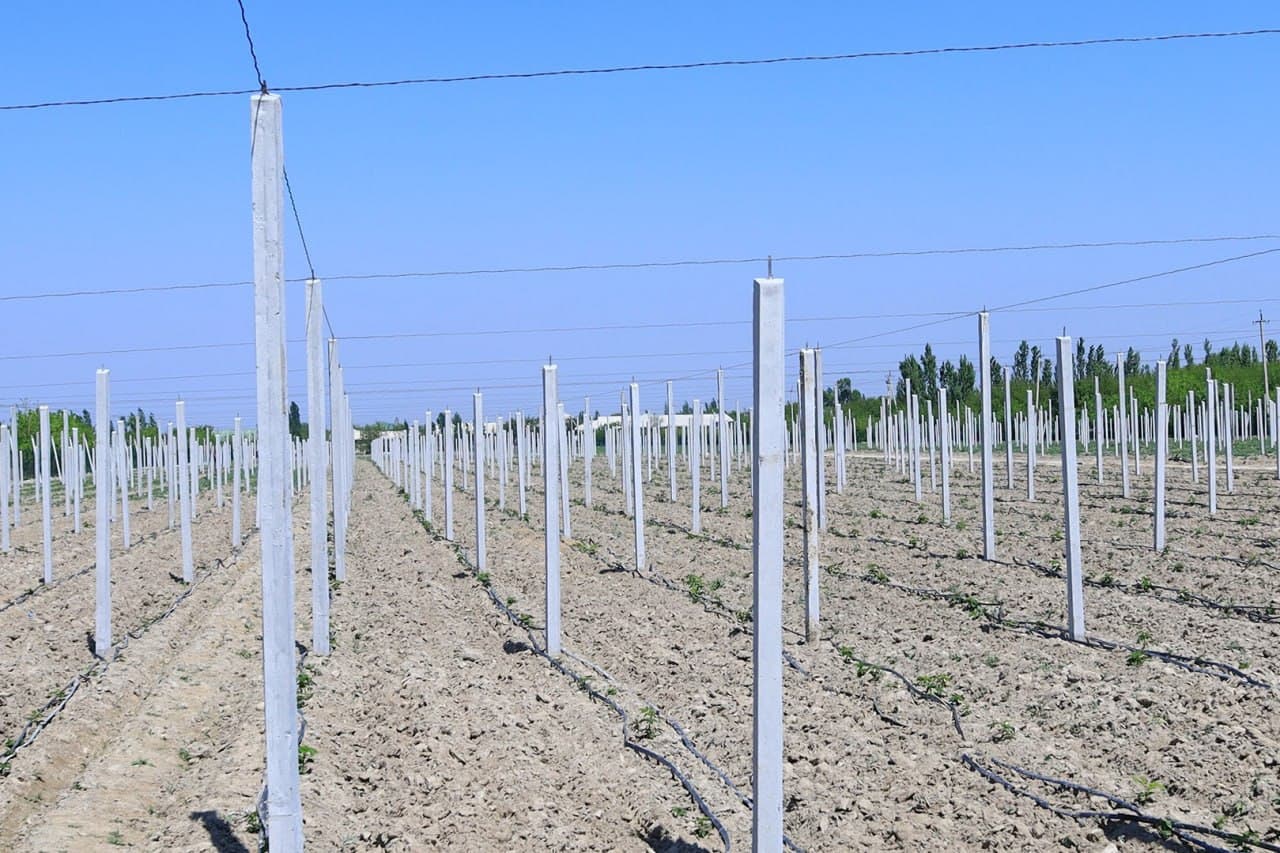 Press tour organized in Fergana district to promote tourism potential