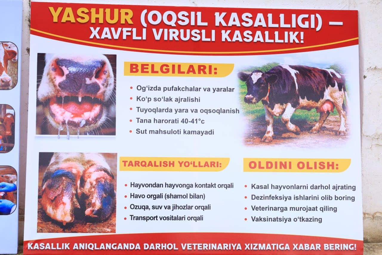 A seminar on ensuring veterinary-sanitary and epizootic stability in livestock was held in Fergana district
