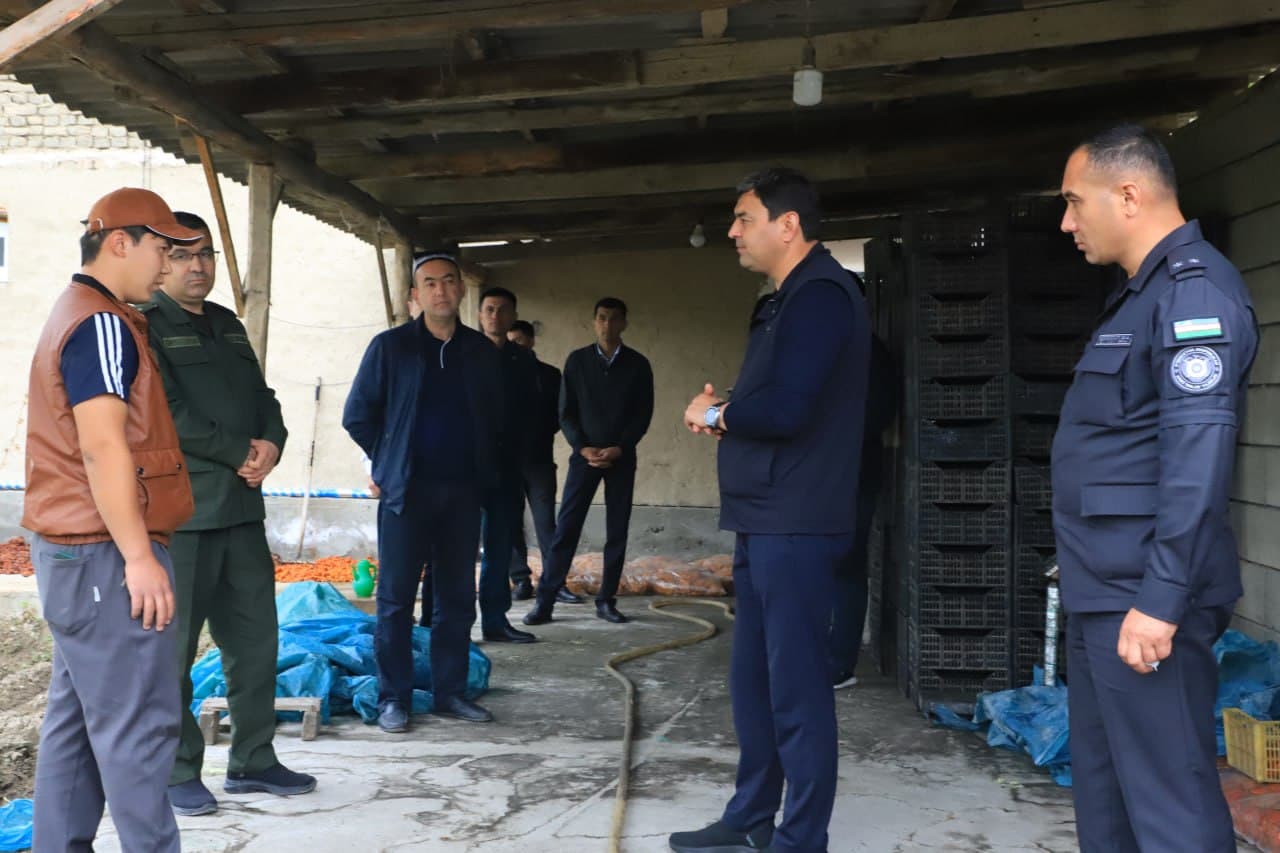 Activity of a young entrepreneur studied in Fergana district within Youth Day events