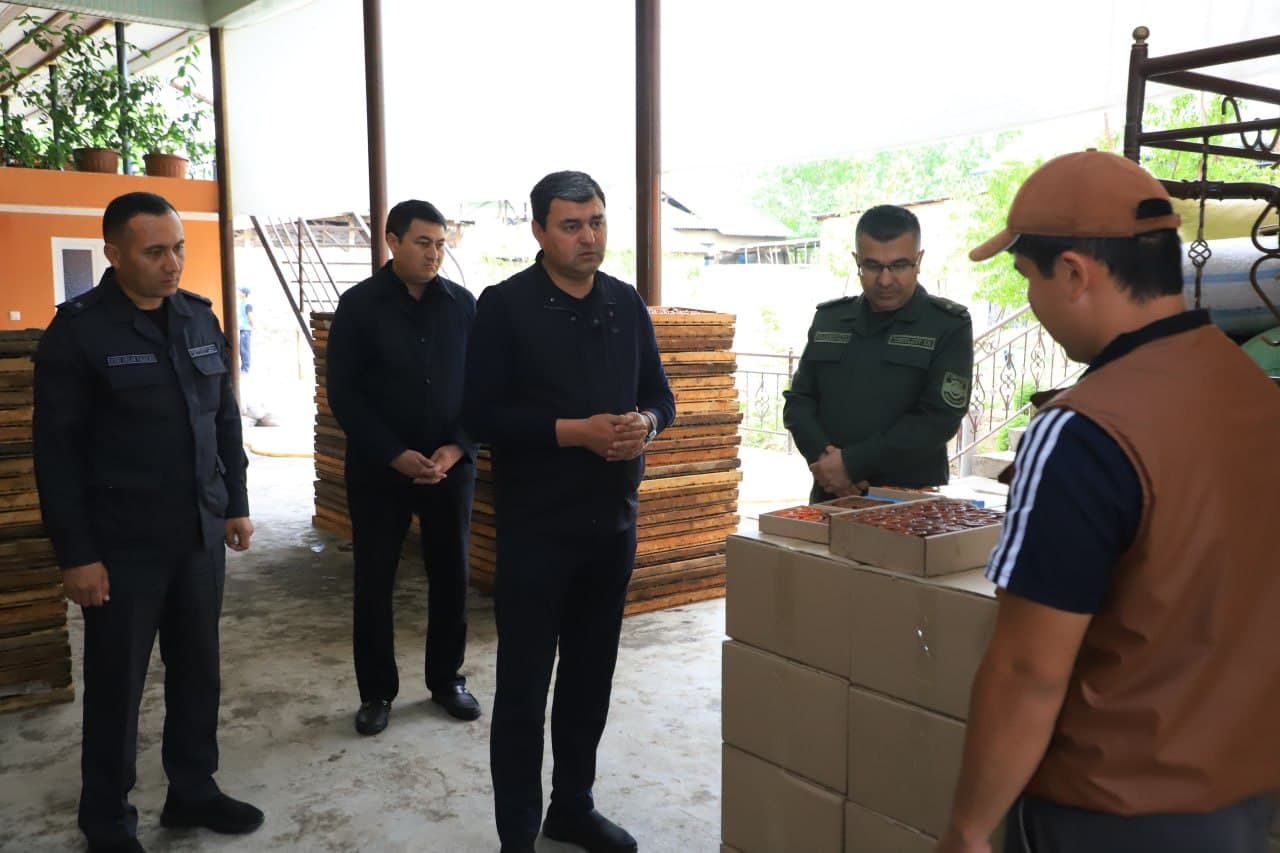 Activity of a young entrepreneur studied in Fergana district within Youth Day events