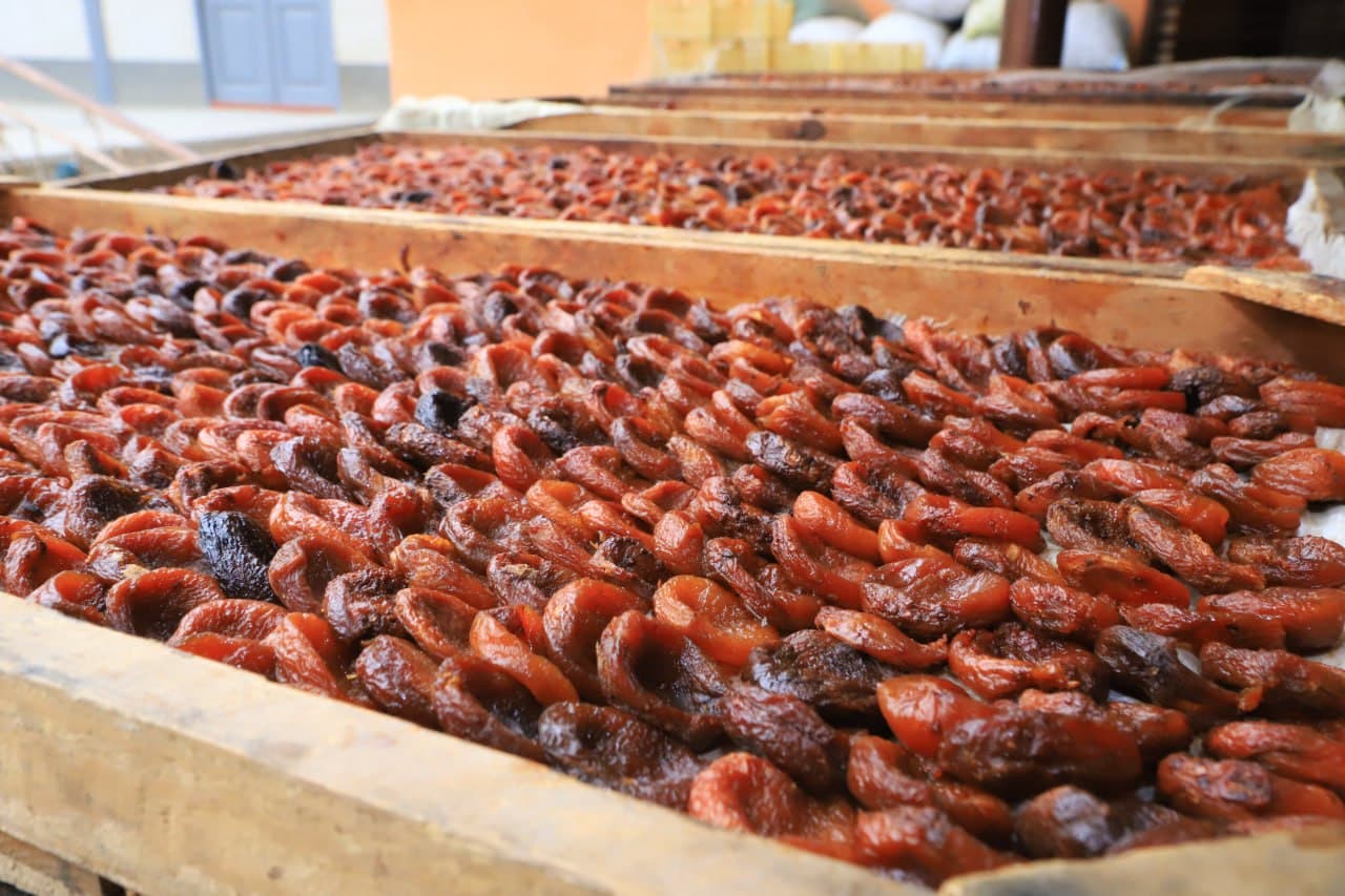 Activity of a young entrepreneur studied in Fergana district within Youth Day events