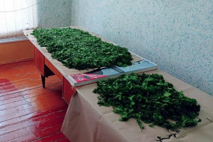 В Ферганском районе запущена новая инициатива по социальной поддержке через шелководство