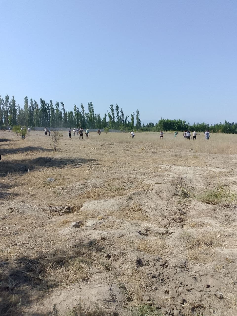 Yurt obodligi, avvalo, mahalladan boshlanadi!