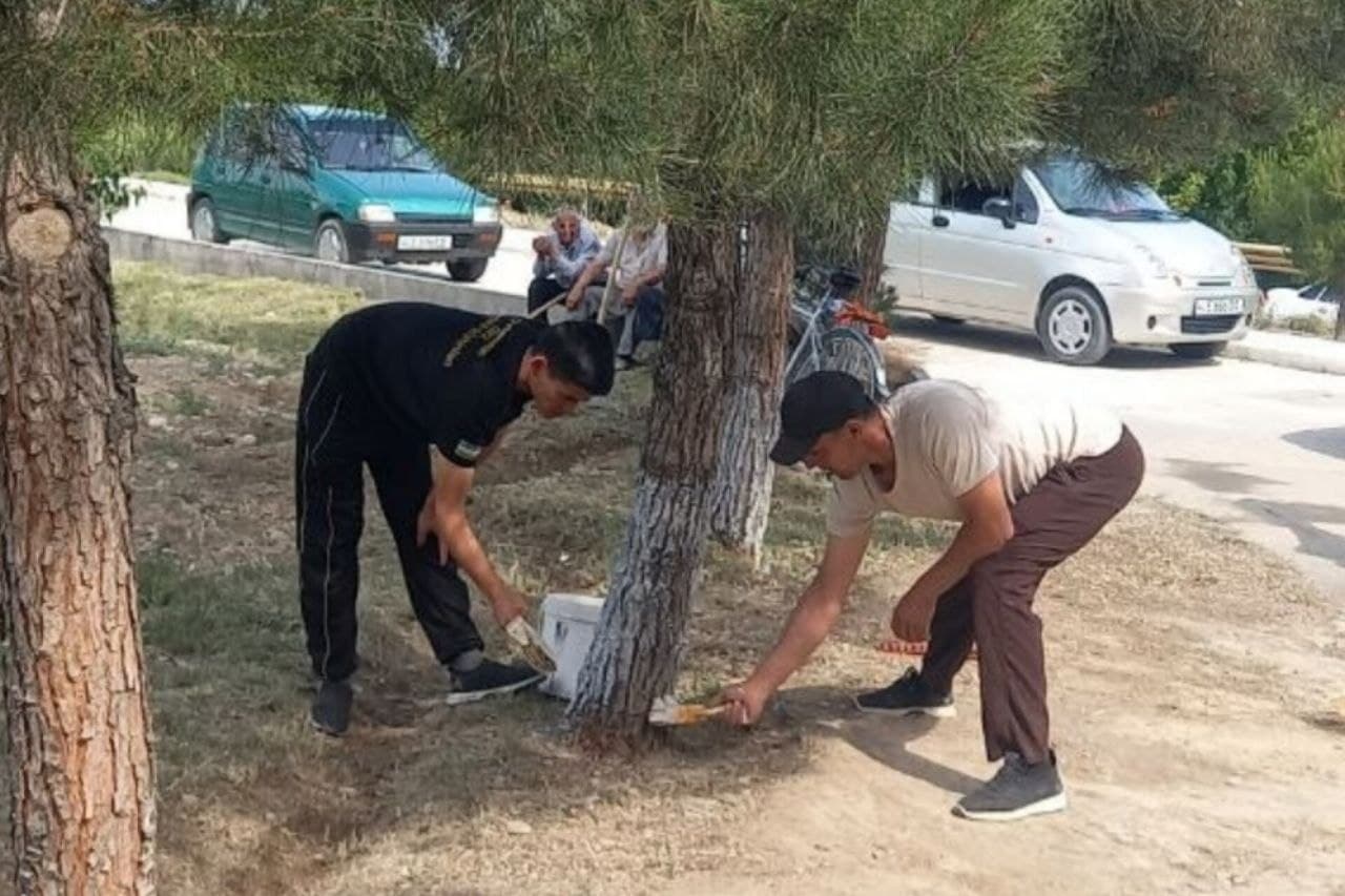 Yurt obodligi, avvalo, mahalladan boshlanadi!