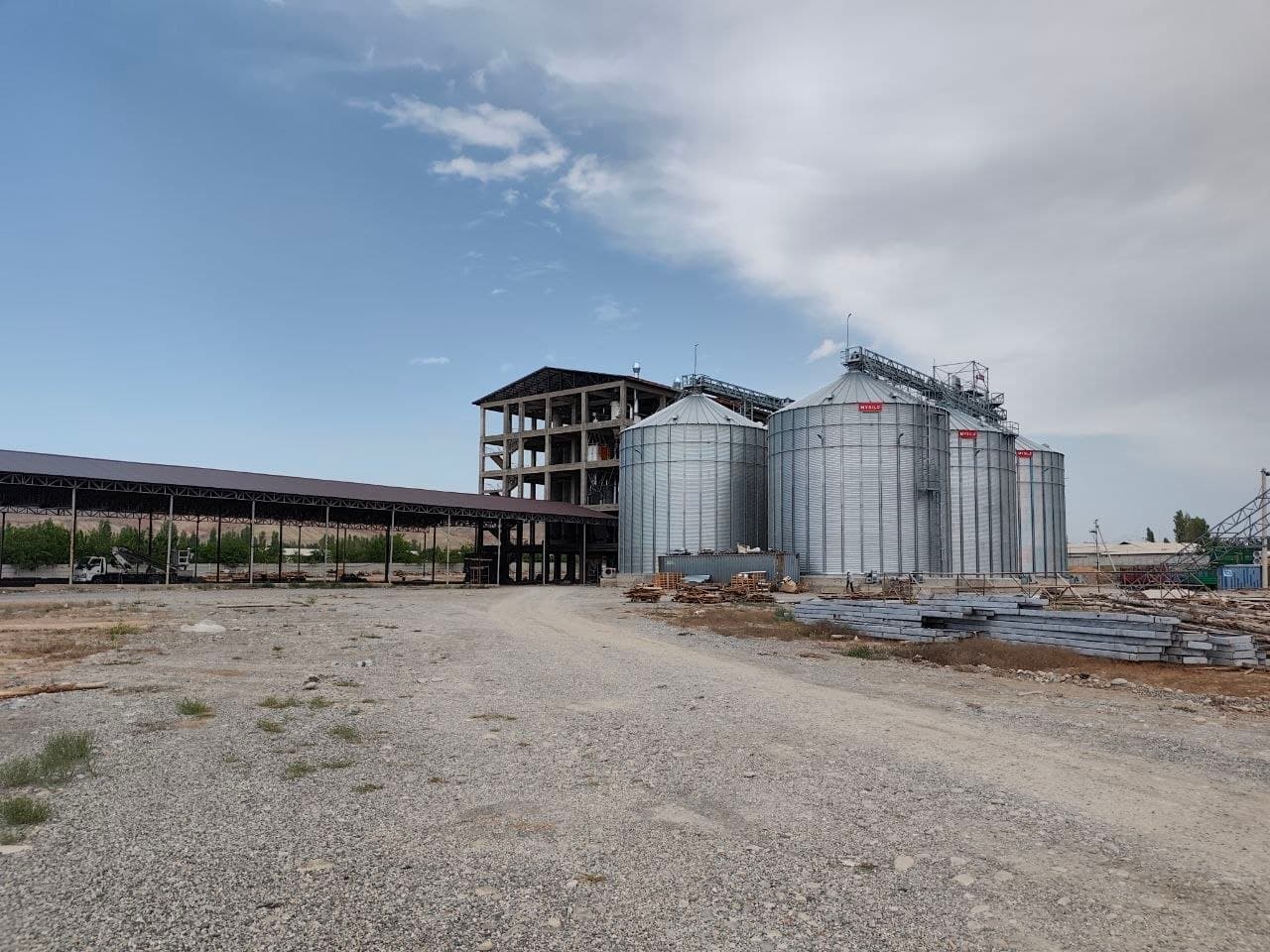 Grain Processing and Flour Production Project Reviewed