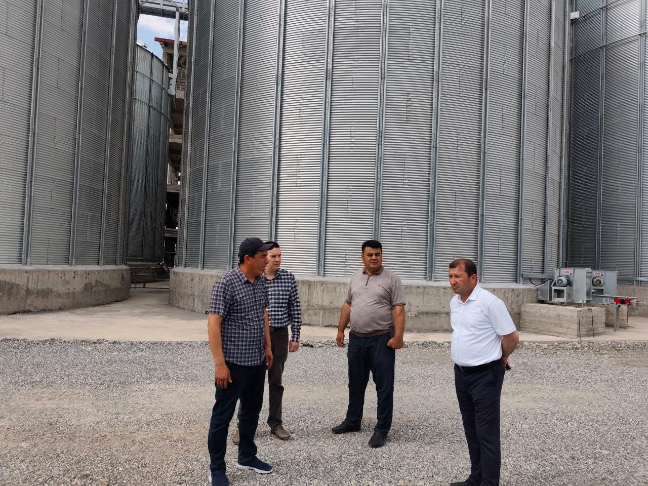 Grain Processing and Flour Production Project Reviewed