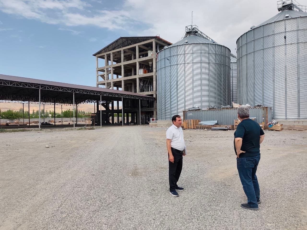 Grain Processing and Flour Production Project Reviewed
