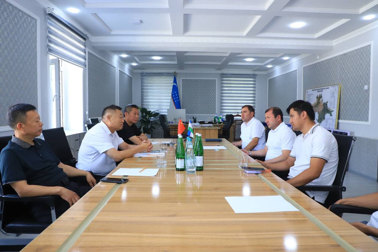 A promising industrial project was discussed with Chinese investors