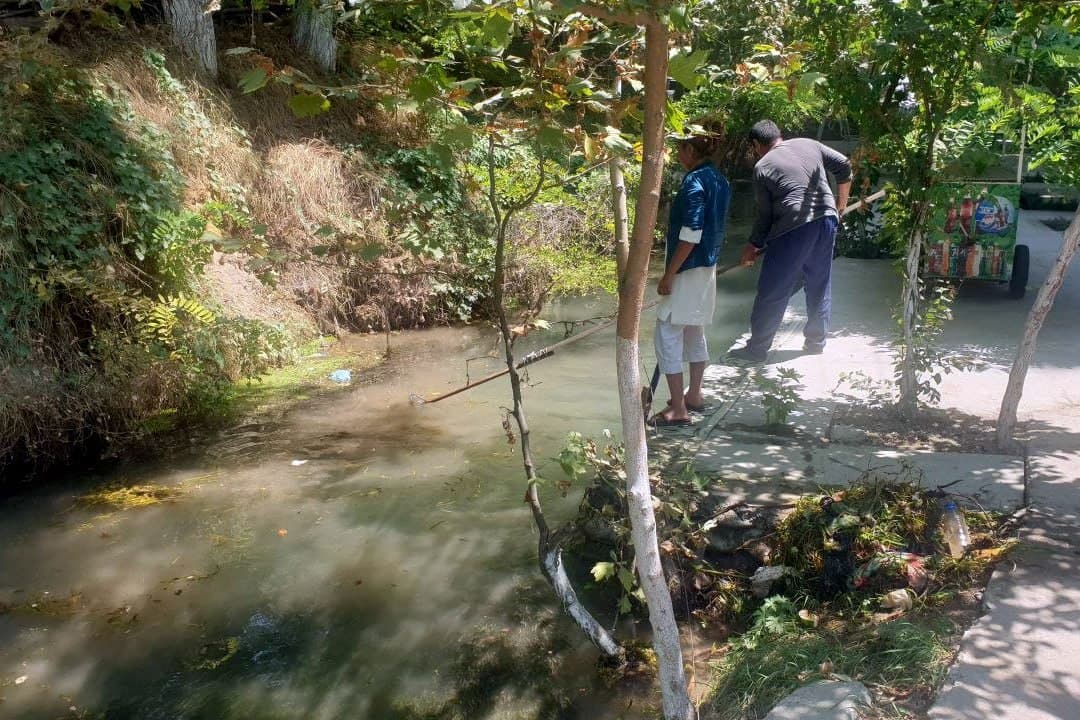 Large-Scale Community Clean-Up and Beautification Efforts Continue in Fergana District