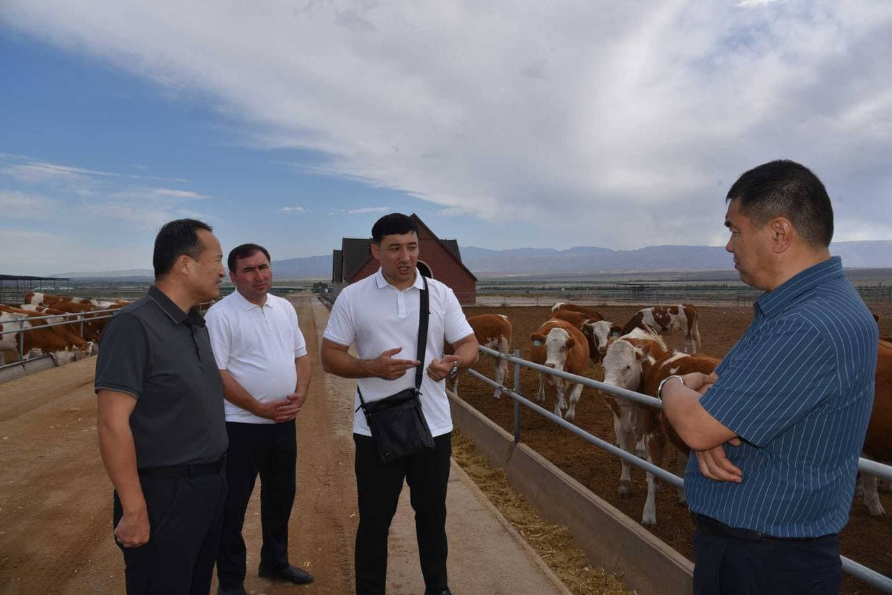Livestock Investment Projects Discussed in China