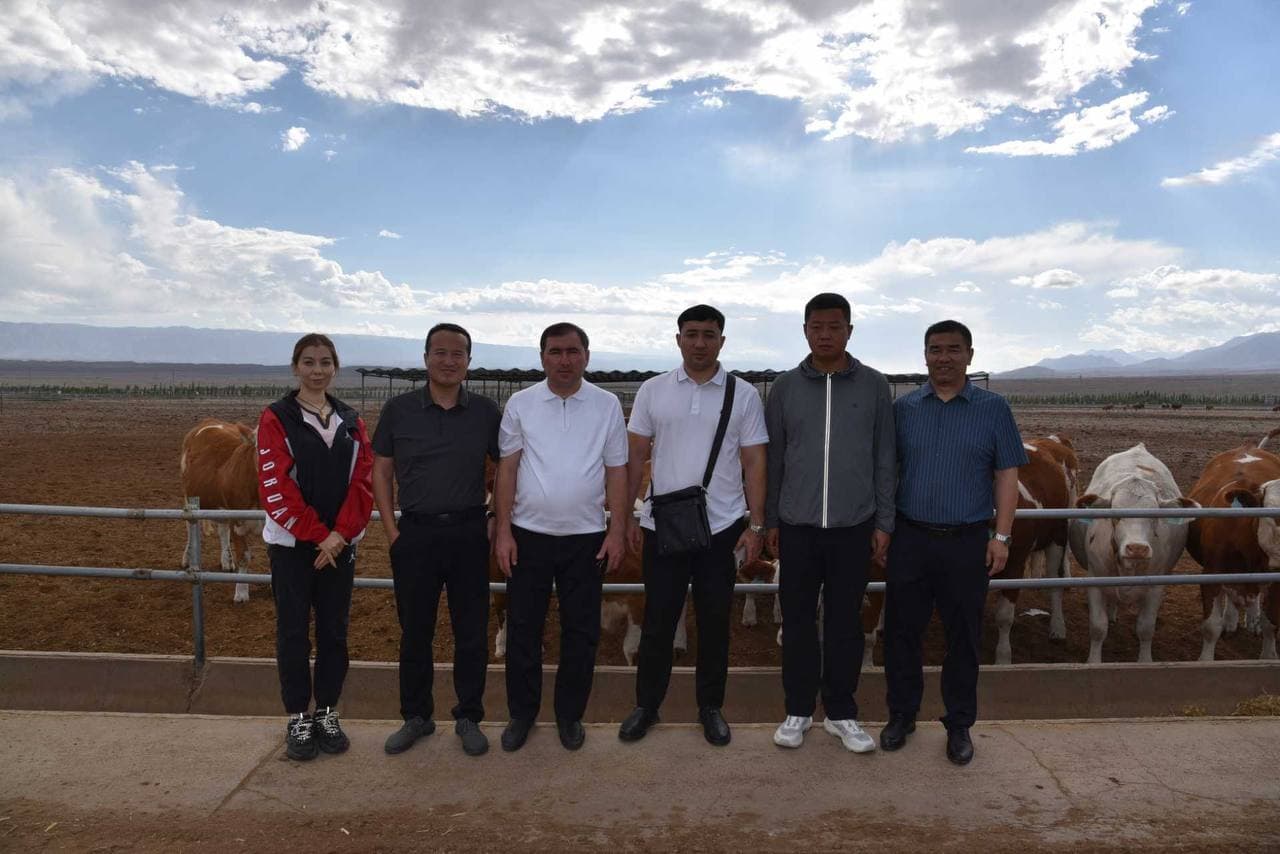 Livestock Investment Projects Discussed in China