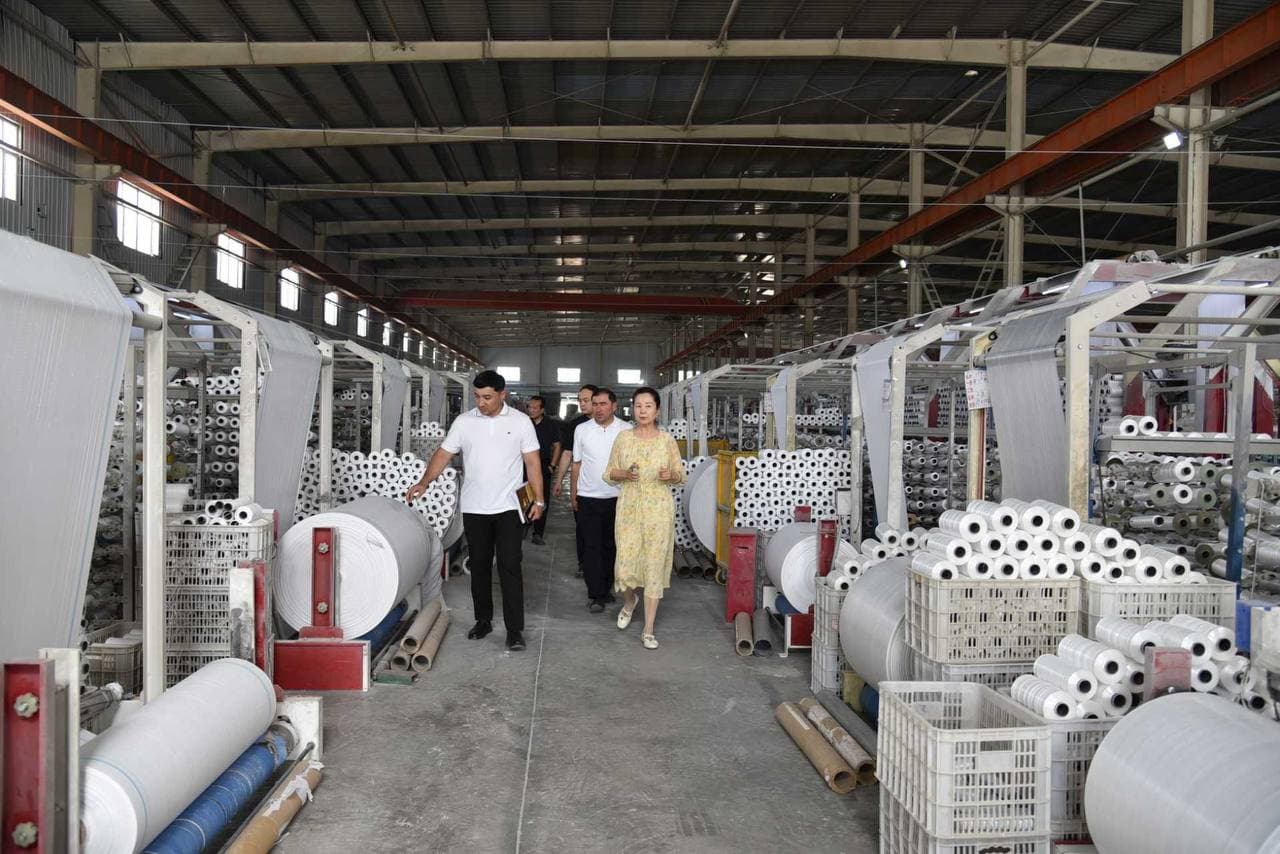 Packaging Production Projects Discussed with a Chinese Company