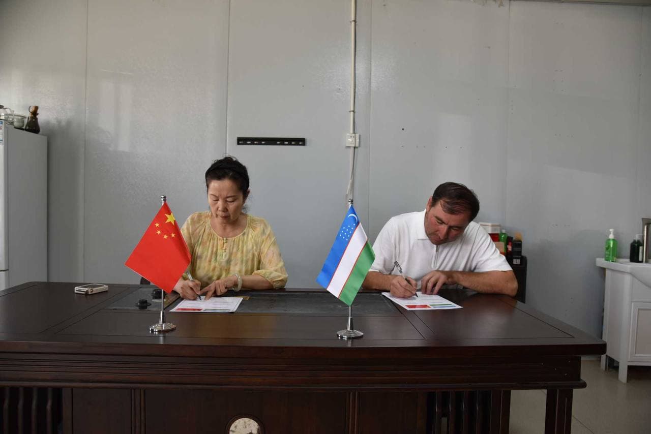 Packaging Production Projects Discussed with a Chinese Company