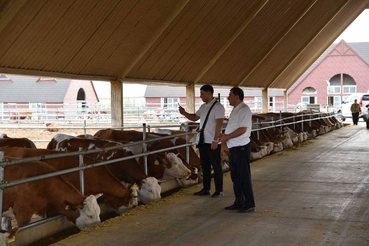 Livestock Investment Projects Discussed in China