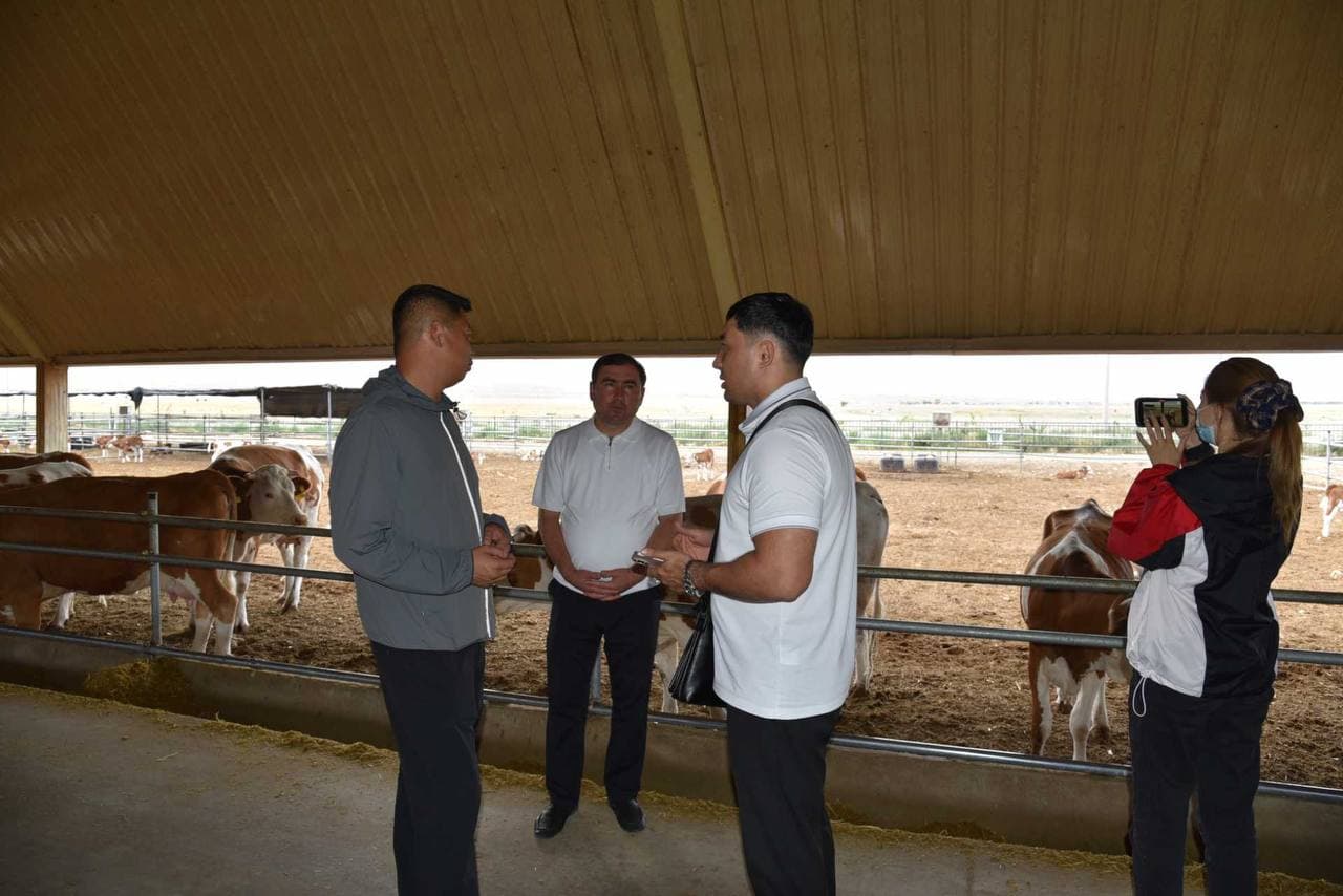 Livestock Investment Projects Discussed in China
