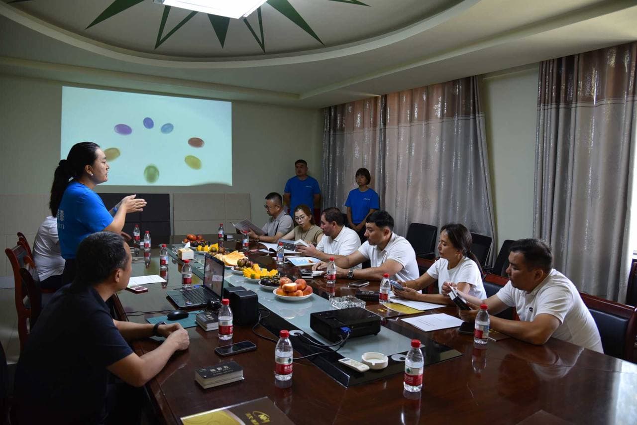Modern Paint Manufacturing Projects Discussed with a Chinese Company