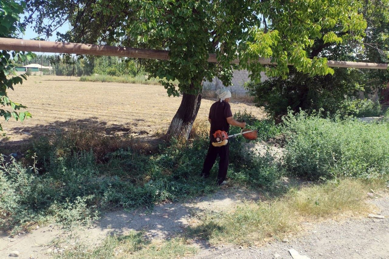 Community Clean-Up Campaign Continues Across Fergana District