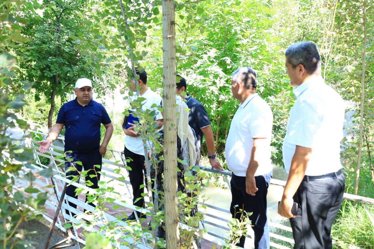 Planned Youth Projects Reviewed