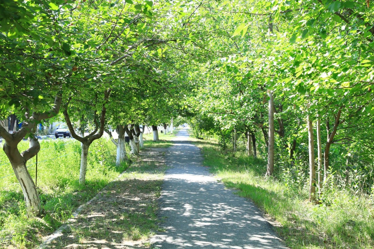 Planned Youth Projects Reviewed